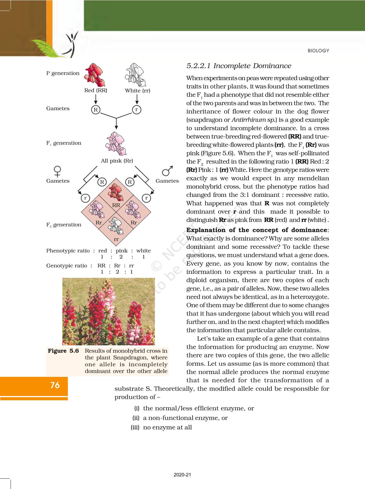 Principles Of Inheritance And Variation - NCERT Book Of Class 12 Biology